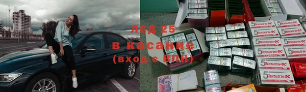 шишки Володарск