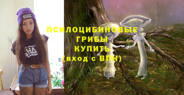 гашик Горняк
