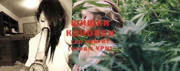 сатива Волосово