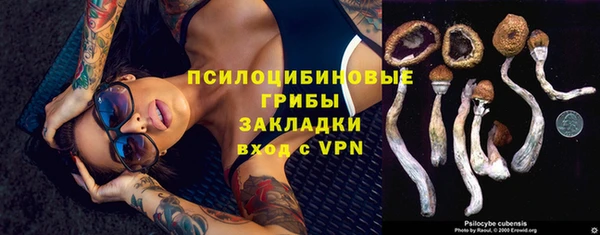 гашик Горняк