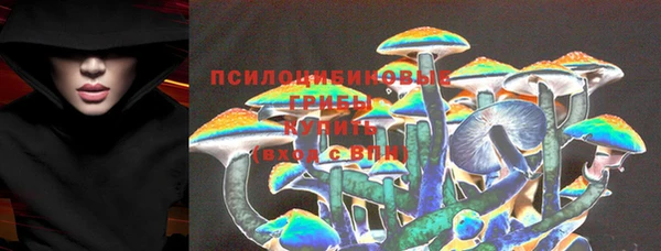 гашик Горняк