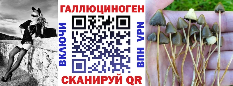 это Telegram  Заполярный  Галлюциногенные грибы мухоморы 